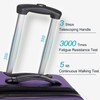 Merax Luggage, Purple, 3 Set