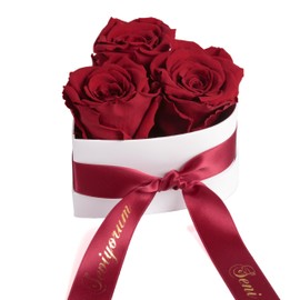 ROSEMARIE SCHULZ Heidelberg Infinity Rose Box Heart - 3 Real Dark Red Roses Preserved Durable 3 Years 10 x 12 cm - Seni Seviyorum Hediye Gifts for Girlfriend Love