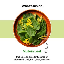 BLUE TEA - Mullein Tea - 50 Count - Pyramid Plant Based Tea Bag | LUNGS DETOX - FOR RESPIRATORY SUPPORT | Herbal Tea - Caffeine Free - Leaf Based - Non-Bitter - Non-GMO - Sugar Free | Ziplock Pack