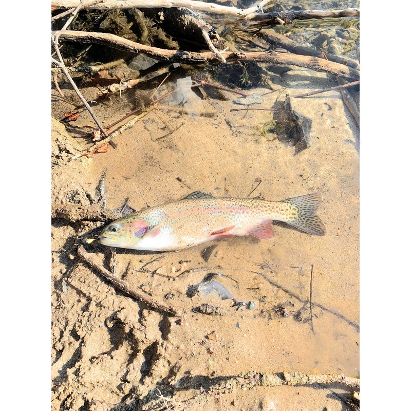 Tungsten Tear Drop 5mm Glow Jig Set of 10 1/16th