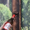 Jumiok Vintage Wall Magnetic Bottle Opener Post Mounted Beer Cap
