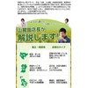 Ureshino Tea Lucky Bag Green Tea Leaf 100% Ichiban Tea