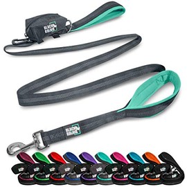 Black Rhino Dog Leash - Heavy Duty - Medium & Large Dogs | 6ft Long Leashes | Two Traffic Padded Comfort Handles for Safety Control Training - Double Handle Reflective Lead - (Aqua)