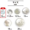 Shell Buttons, Shellfish Buttons, Single Sided, Takase Clam, Shirt Buttons,