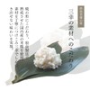 Niigata Sanko M-85 Premium Delicacy Salmon Shiokara (Bag) 3.5 oz