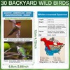 North American Bird Identification Cards, 30 Backyard Birds for Bird