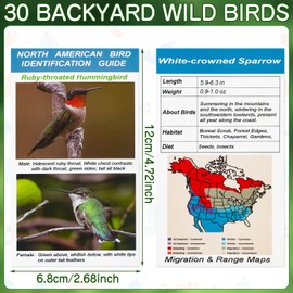 North American Bird Identification Cards, 30 Backyard Birds for Bird Lovers