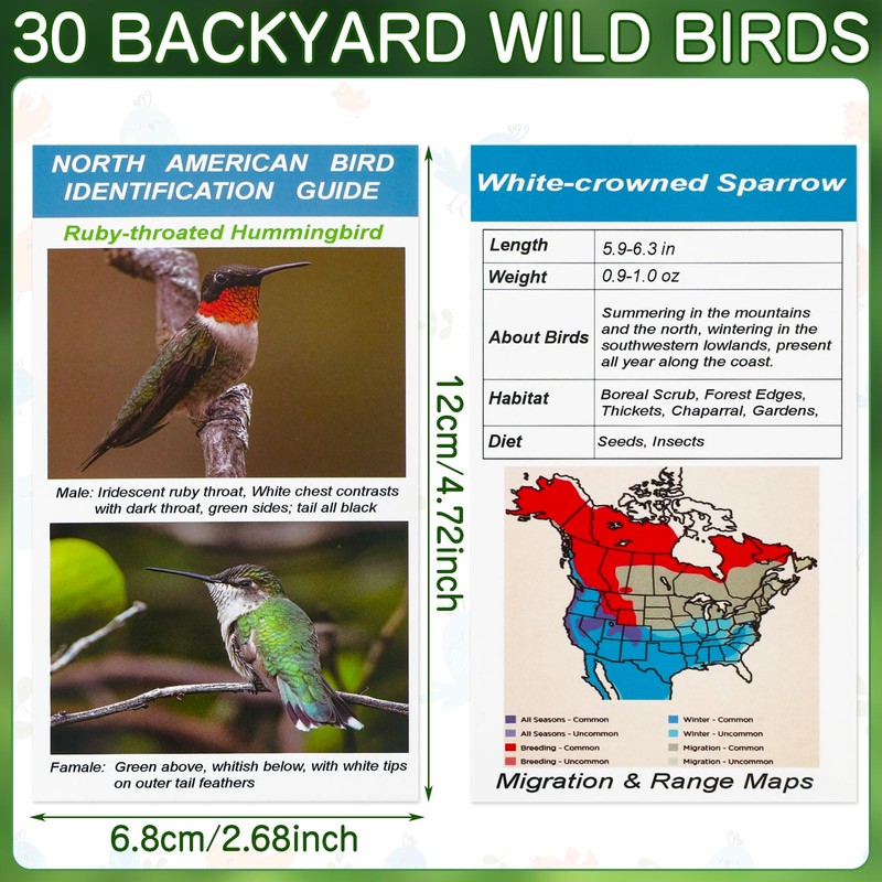 North American Bird Identification Cards, 30 Backyard Birds for Bird