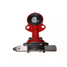 Bray Series 30, 2" Butterfly Valve 175 PSI **SALE**