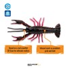 *4D Craw 4" 6 pcs (Red Craw) 3444 One Size