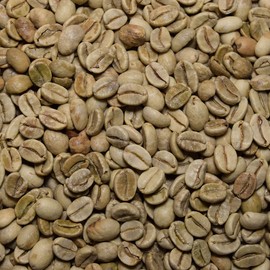Fresh Roasted Coffee, Unroasted Indian Monsoon Malabar, Kosher, 5 Pound