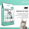 Natural Sodium Bentonite Clay Cat Litter | Dust-Free, Rapid Clumping,