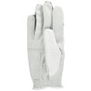 ARNOLD PALMER APG Golf Gloves APG-116 Men's White X Green