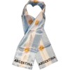 Argentina - Lightweight Flag Scarf