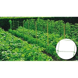 Riegolux 999156 20 x 20 cm Structure Mesh, Green, 2 x 25 m