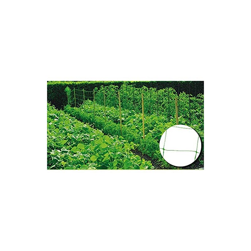 Riegolux 999156 20 x 20 cm Structure Mesh, Green, 2