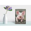 James Coates - Happy Birthday You Filthy Animal Pig Card