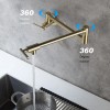 Wall Mount Pot Filler Kitchen FaucetColor: as Pic Color