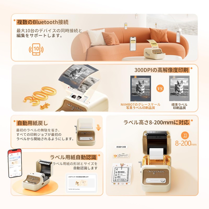 NIIMBOT B21Pro Label Printer, Smartphone Compatible, Label Writer, Thermal Label