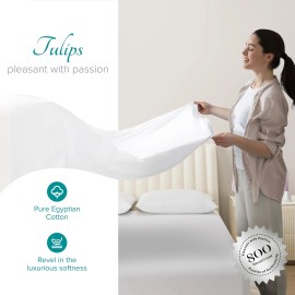 Carressa Linen 100% Egyptian Cotton Sheets Queen Size 800 Thread Count 6 PC C...