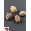 Spicy World Whole Nutmeg Indian Spice, 3.5 Ounce