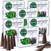 Peppermint Incense Cones - Total 60 Cone Incense - Six