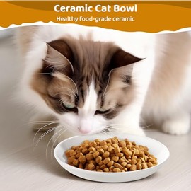 Platos de cerámica: cuencos de comida húmeda para gatos y cuencos poco profundos para gatitos y animales pequeños