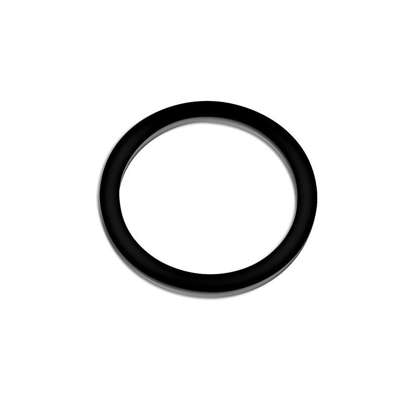 SunSun Swimming Pool Pump HZS 200 300 Replacement Part Seal