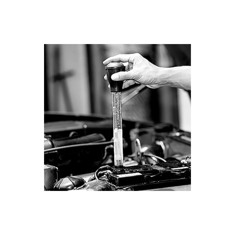 Carpoint 0677715 Batteriesaure Prüfer Stab