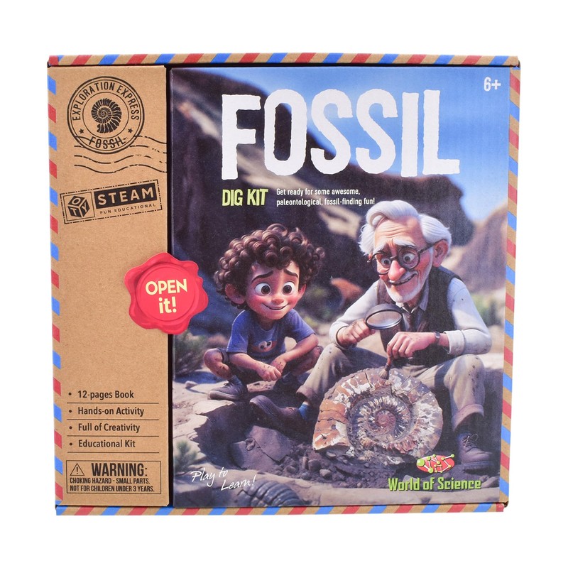 KandyToys Fossil Dig Kit | Science Kit