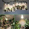 Wiyifada 6 Pack Full Spectrum Grow Light Bulbs,A19 Grow Lights