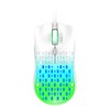 AULA Mouse Gamer S11 Pro, 3600 dpi, RGB, Cableado (Verde)