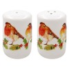 Winter Robin Design Fine China Salt and Pepper Shaker Pots