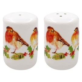 Winter Robin Design Fine China Salt and Pepper Shaker Pots