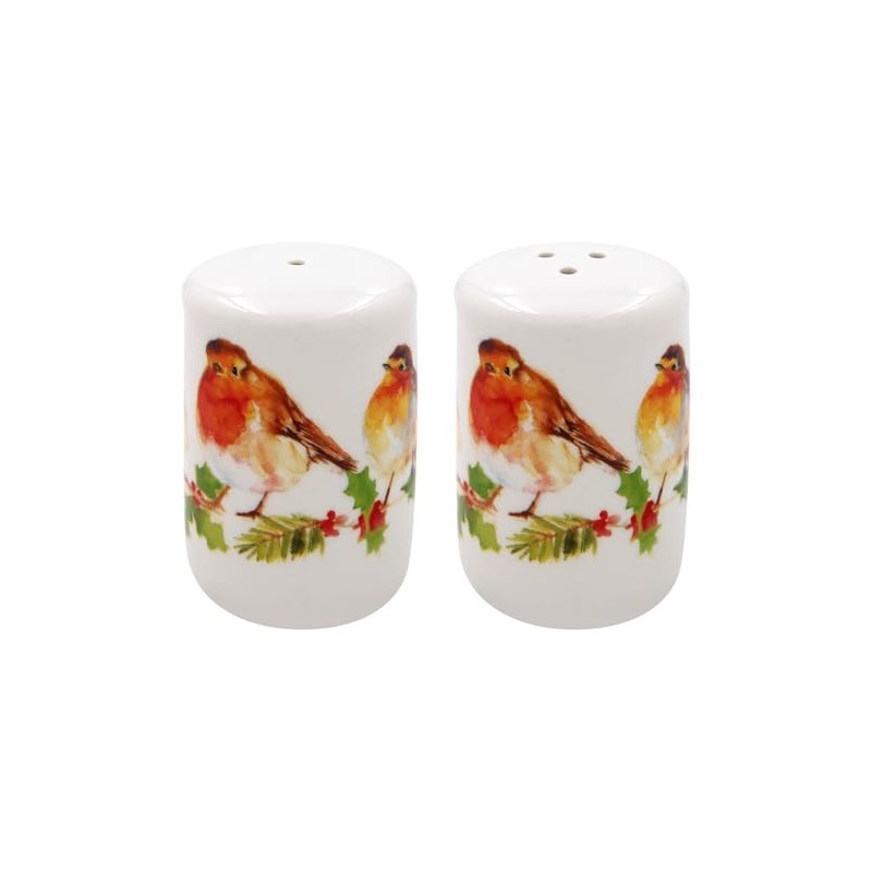 Winter Robin Design Fine China Salt and Pepper Shaker Pots