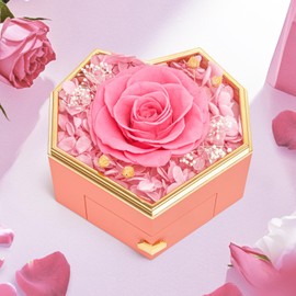 Beinhome Eternal Rose in Glass with Chain, Preserved Rose Flowers, Shipping Gift for Women, Mum, Grandma, Girlfriend, Valentine's Day, Christmas, Mother's Day, Birthday, Wedding, Thanksgiving (Pink)