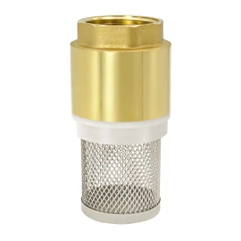 VARIOSAN Foot Valve 14153, 1 Inch Check Valve, Brass, Stainless Steel Basket