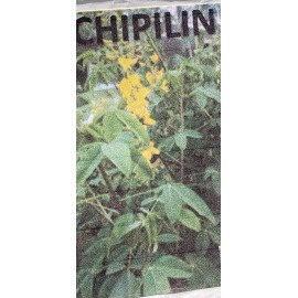 Guatemalan Chipilin Seeds/Semillas de Chipilin, Guatemala Long Leaf, Organic, 50 Seeds!