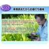 Benifuuki Green Tea Powder Sticks, 0.03 oz (0.8 g) x