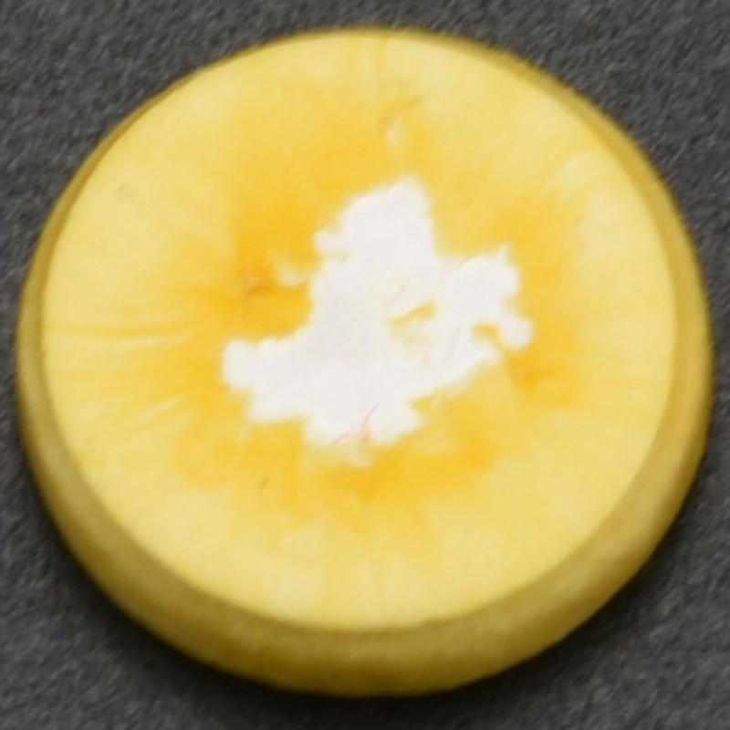 128 Pcs Flute Leather Pads Replacement Exquisite Wind Instrument