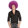 Widmann Afro Wig, One Size