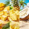 8oz Freeze Dried Tropical Mixed Fruit Snacks - Mango Pineapple