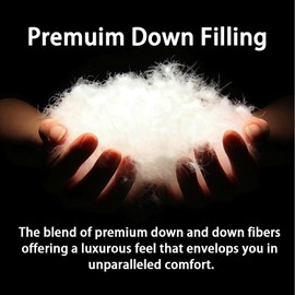 BedTreat Luxury Goose Down Comforter Queen Size,Premium Hotel collecton Duvet Insert for All Seasons with Ultra-Soft 100% Organic Cotton Cover and 8 Tabs,Fluffy and Medium Warmth(90"X90",White)