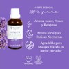 Tea Garden Company Aceite Esencial Puro Lavanda 100% Natural 65