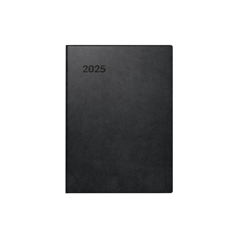 BRUNNEN Pocket Diary Model 731 (2025), 2 Pages = 1