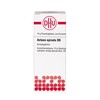 Actaea spicata D6 DHU Globules, 10 g Globules