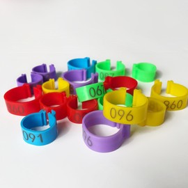 100Pcs Chicken Leg Rings - Colorful Readable Numbered Chicken Identification Leg Bands, Poultry Leg Bands Clip on Leg Rings for Ducks Chicks Chicken Guinea Pigeons Goose Gamefowl (20mm/0.8inch)