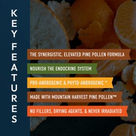 Forest Prana Elixir: Pine Pollen and Nettle Root Capsules — Synergistic and Adaptogenic Pine Pollen Support — Bioavailable Ultra-Pure Extracts — Men & Women — No Fillers, Non-GMO — 120 Count