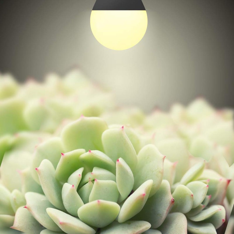 mfxmf 6 Pack LED Grow Light Bulb A19 Bulb, Full