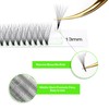 1000 Premade Lash Fans 8D Narrow Promade Fans 8-15mm Mixed